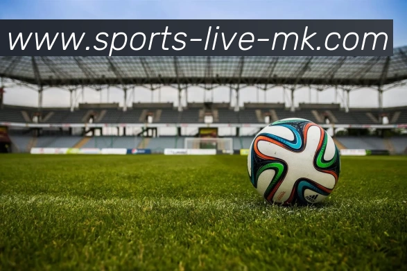 MK体育发展历程